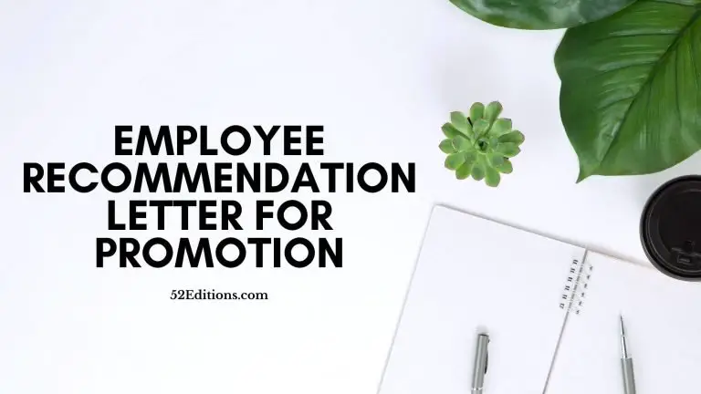 Employee Recommendation Letter For Promotion