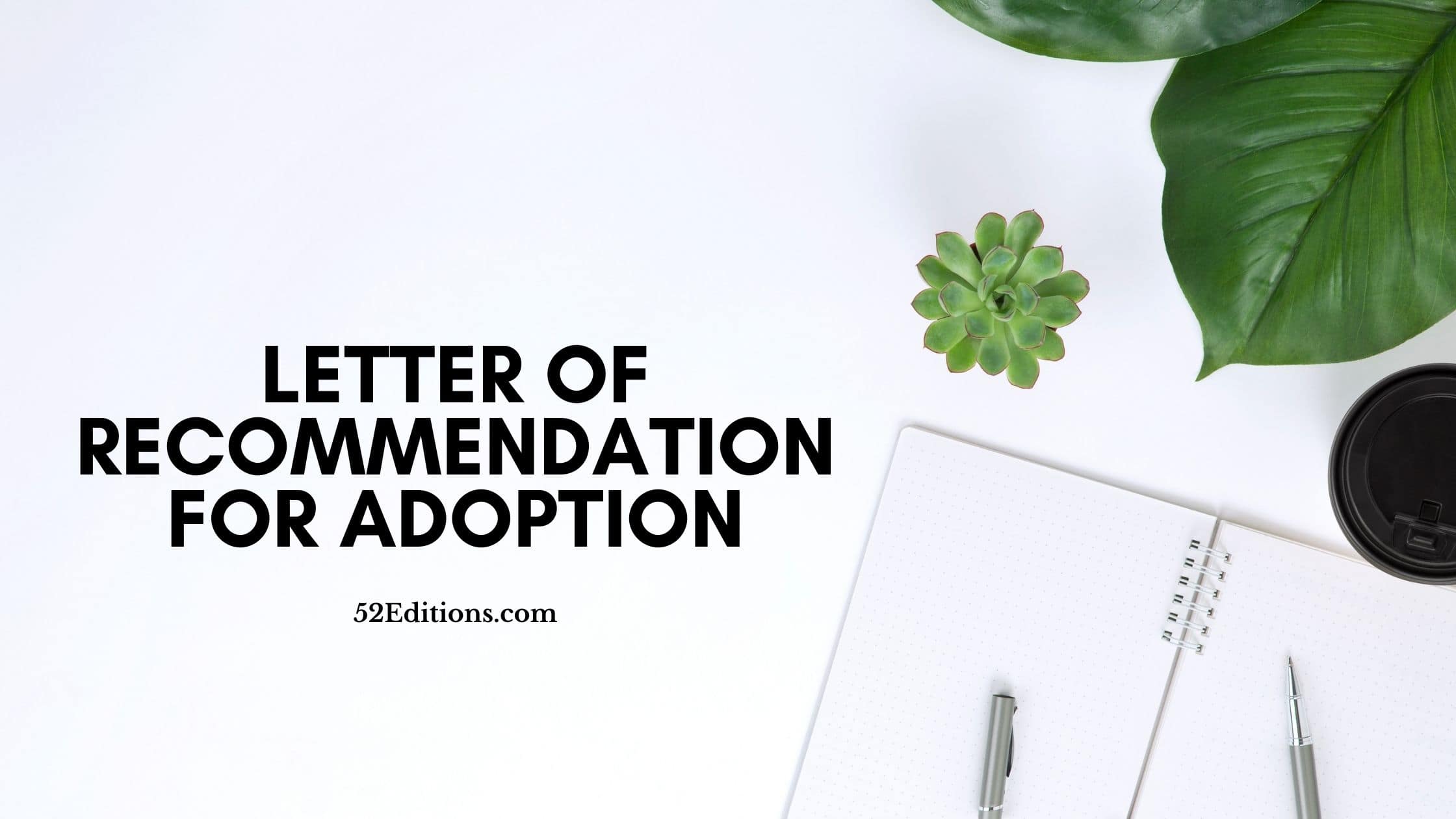 Adoption Recommendation Letter Template